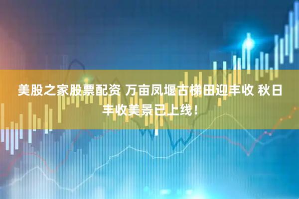 美股之家股票配资 万亩凤堰古梯田迎丰收&#32;秋日丰收美景已上线！