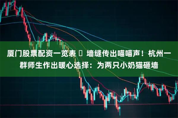 厦门股票配资一览表 ​墙缝传出喵喵声！杭州一群师生作出暖心选择：为两只小奶猫砸墙